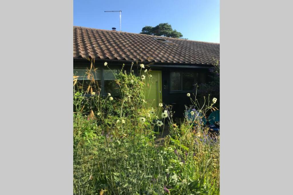 The Yellow Door Whitstable - Peaceful Retreat Close To Beach Exterior foto